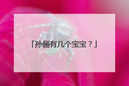 孙俪有几个宝宝？