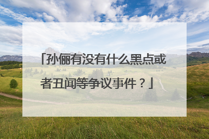 孙俪有没有什么黑点或者丑闻等争议事件?