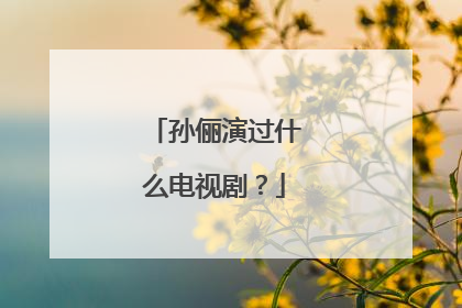 孙俪演过什么电视剧?