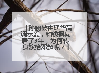 孙俪被霍建华高调示爱,和钱枫同居了3年,为何转身嫁给邓超呢?
