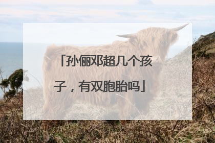 孙俪邓超几个孩子,有双胞胎吗