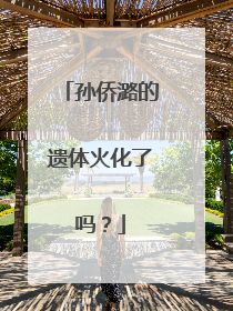 孙侨潞的遗体火化了吗？