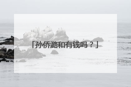 孙侨潞和有钱吗？