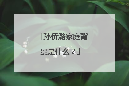 孙侨潞家庭背景是什么？