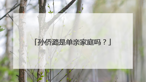 孙侨潞是单亲家庭吗？