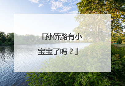 孙侨潞有小宝宝了吗？