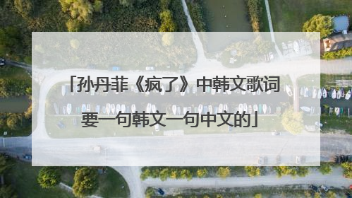 孙丹菲《疯了》中韩文歌词 要一句韩文一句中文的