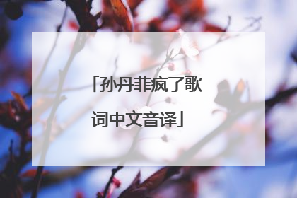 孙丹菲疯了歌词中文音译