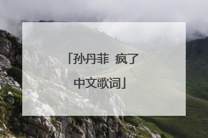 孙丹菲 疯了 中文歌词