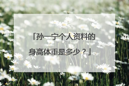 孙一宁个人资料的身高体重是多少?