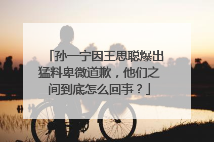 孙一宁因王思聪爆出猛料卑微道歉，他们之间到底怎么回事？