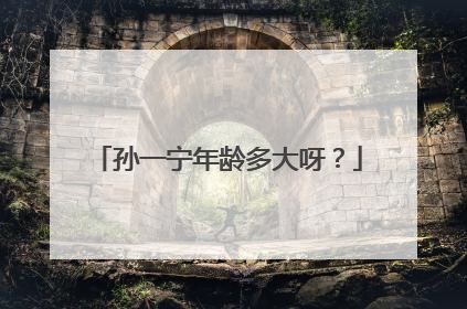 孙一宁年龄多大呀？