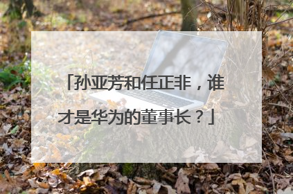 孙亚芳和任正非，谁才是华为的董事长？