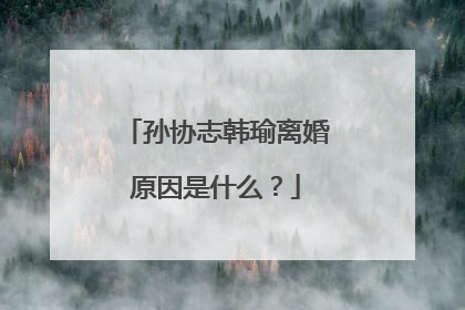 孙协志韩瑜离婚原因是什么？