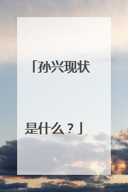 孙兴现状是什么?