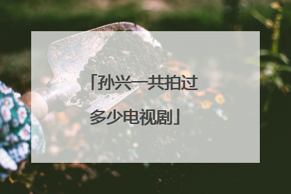 孙兴一共拍过多少电视剧