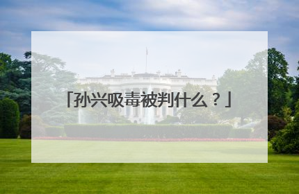 孙兴吸毒被判什么？