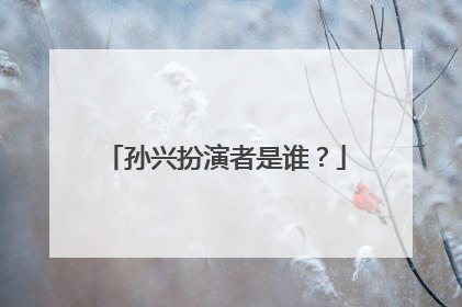 孙兴扮演者是谁?