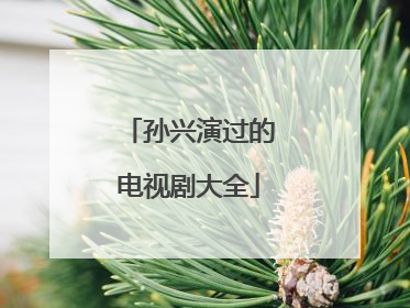 孙兴演过的电视剧大全