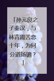孙元良之子秦汉,与林青霞苦恋十年,为何分道扬镳?