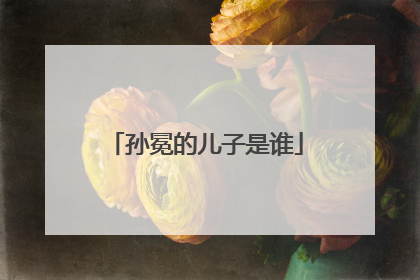 孙冕的儿子是谁