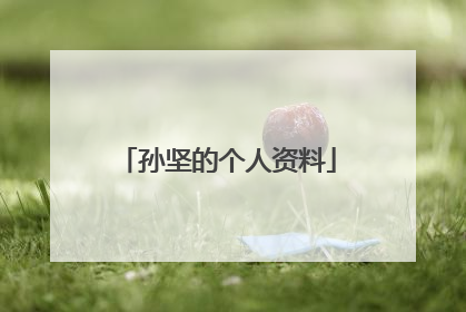 孙坚的个人资料