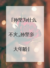 孙坚为什么不火,孙坚多大年龄