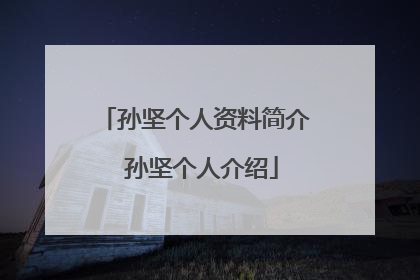 孙坚个人资料简介 孙坚个人介绍