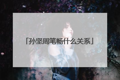 孙坚周笔畅什么关系