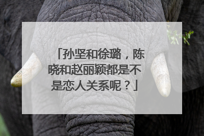 孙坚和徐璐,陈晓和赵丽颖都是不是恋人关系呢?