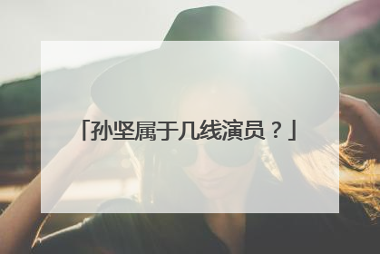 孙坚属于几线演员?