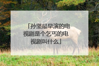 孙坚最早演的电视剧是个乞丐的电视剧叫什么