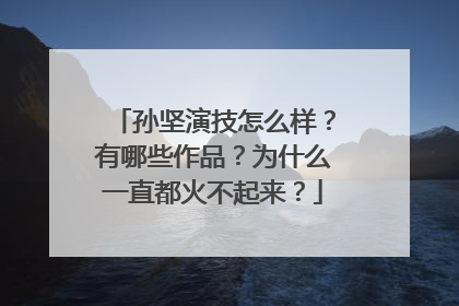 孙坚演技怎么样？有哪些作品？为什么一直都火不起来？