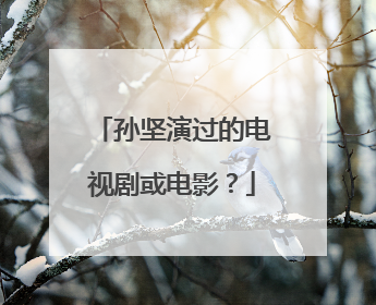 孙坚演过的电视剧或电影？