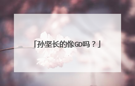 孙坚长的像GD吗？