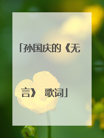 孙国庆的《无言》 歌词