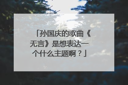 孙国庆的歌曲《无言》是想表达一个什么主题啊?