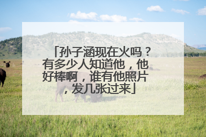 孙子涵现在火吗?有多少人知道他,他好棒啊,谁有他照片,发几张过来
