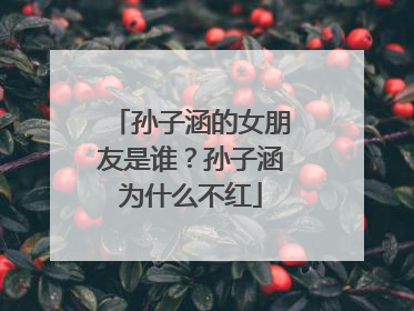 孙子涵的女朋友是谁?孙子涵为什么不红