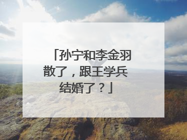 孙宁和李金羽散了，跟王学兵结婚了？
