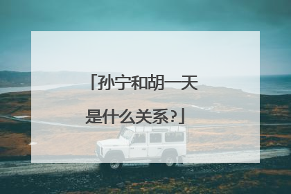 孙宁和胡一天是什么关系?