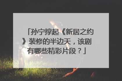 孙宁撑起《新居之约》装修的半边天，该剧有哪些精彩片段？