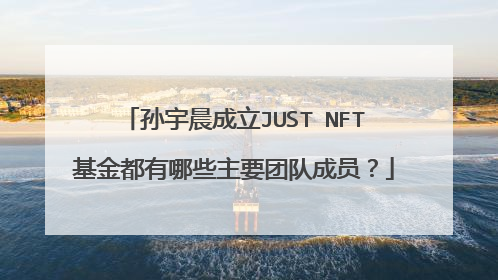 孙宇晨成立JUST NFT基金都有哪些主要团队成员？
