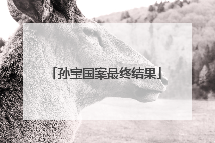 孙宝国案最终结果