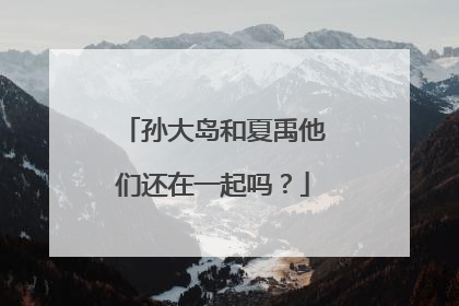 孙大岛和夏禹他们还在一起吗？