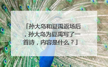 孙大岛和夏禹返场后,孙大岛为夏禹写了一首诗,内容是什么?