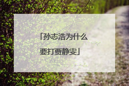 孙志浩为什么要打贾静雯