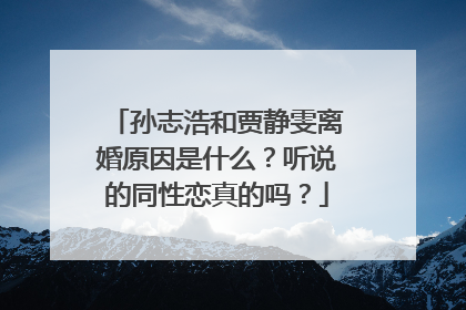 孙志浩和贾静雯离婚原因是什么?听说的同性恋真的吗?