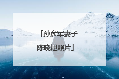 孙彦军妻子陈晓旭照片