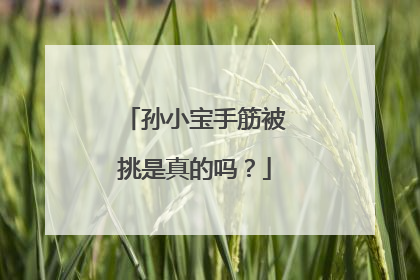 孙小宝手筋被挑是真的吗?